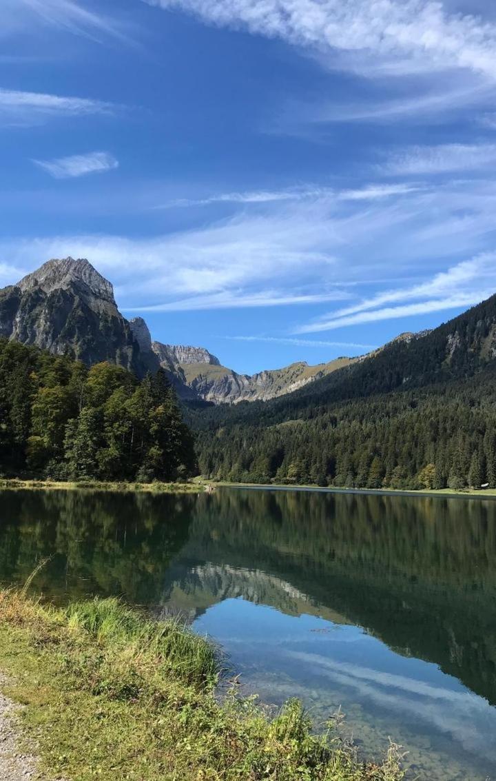 Studio "Chuengelhoschet" Lägenhet Näfels Exteriör bild